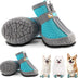 Dog Shoes for Hot Pavement